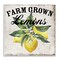 Stupell Industries Farm Grown Lemons Wall Plaque Art Design by Creatif Belle